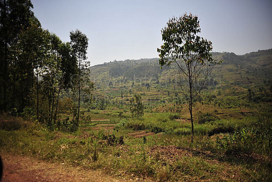 Rwanda images