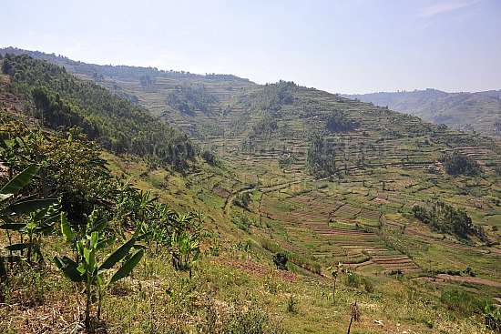 Rwanda images