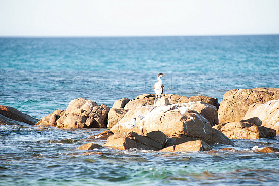 Eagle Bay