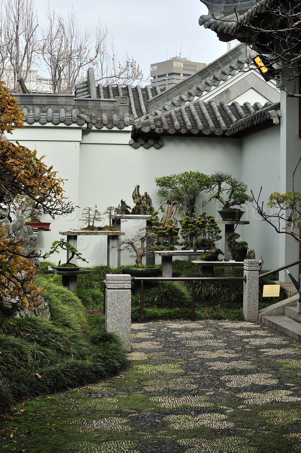 Japanese Garden Sydney