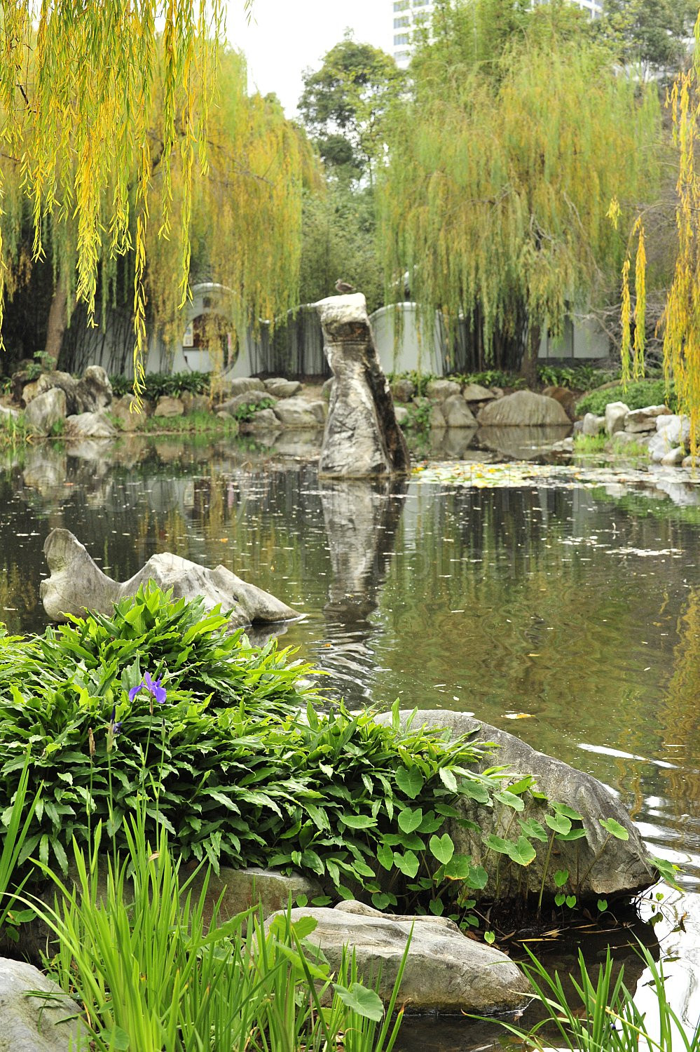 Japanese Garden Sydney