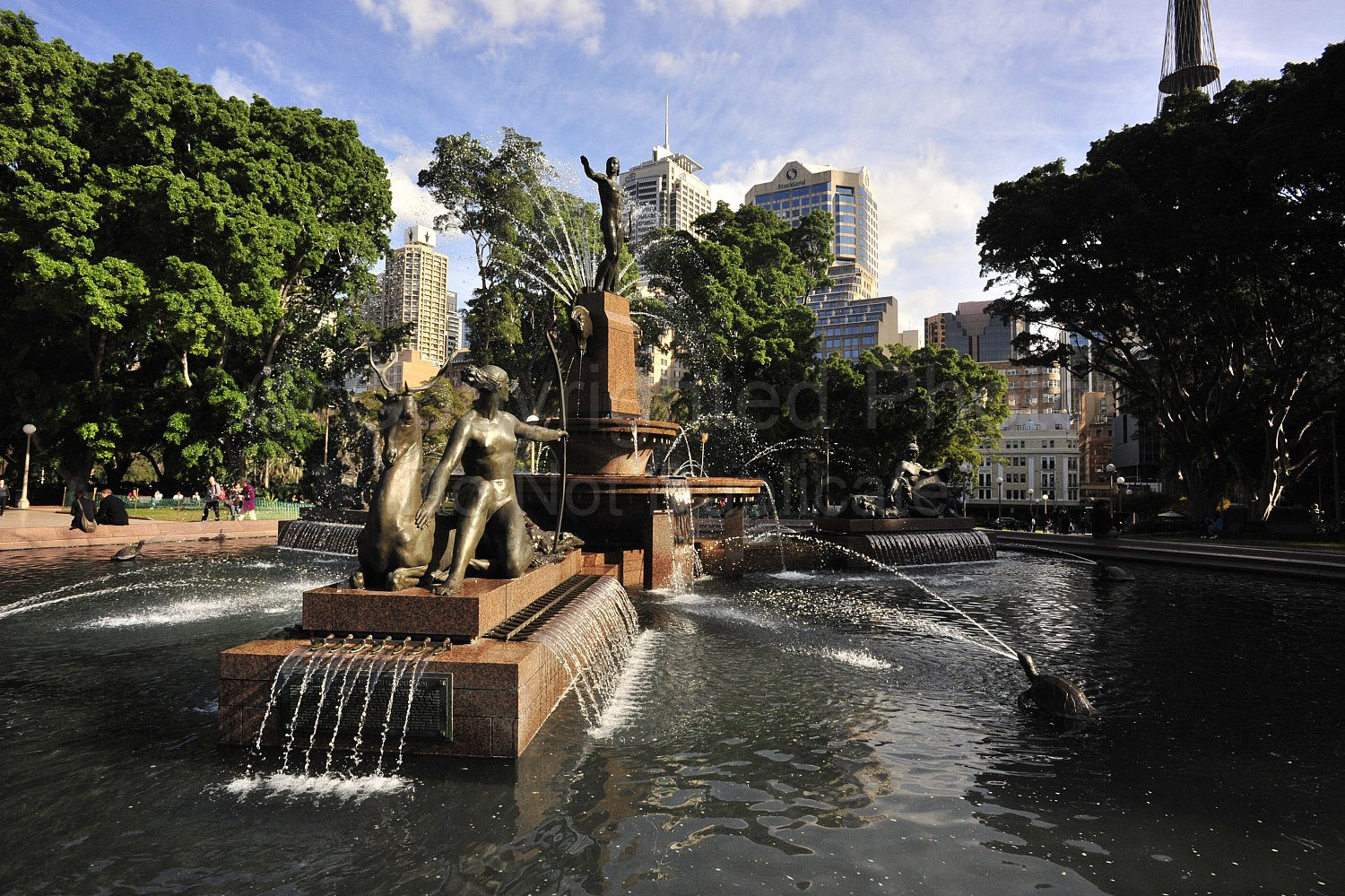 fountain, sydney