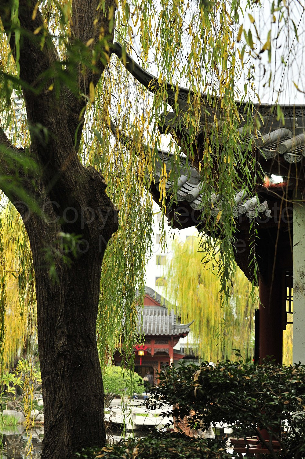 Japanese Garden Sydney