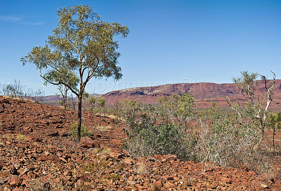 Pilbara Landscapes