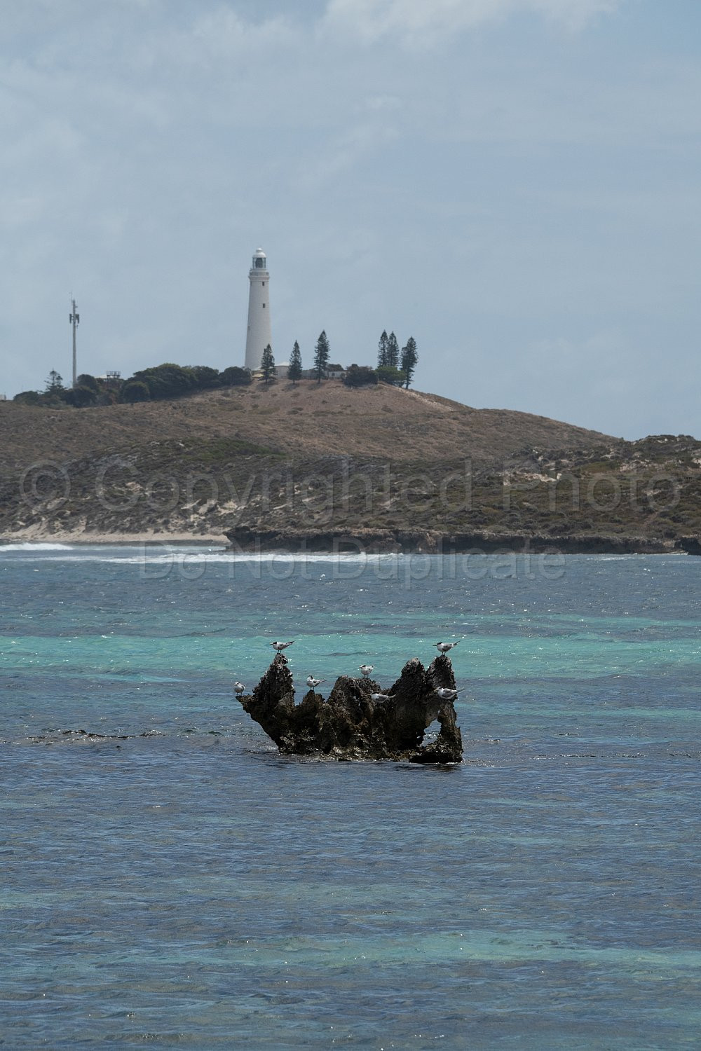 Rottnest Island