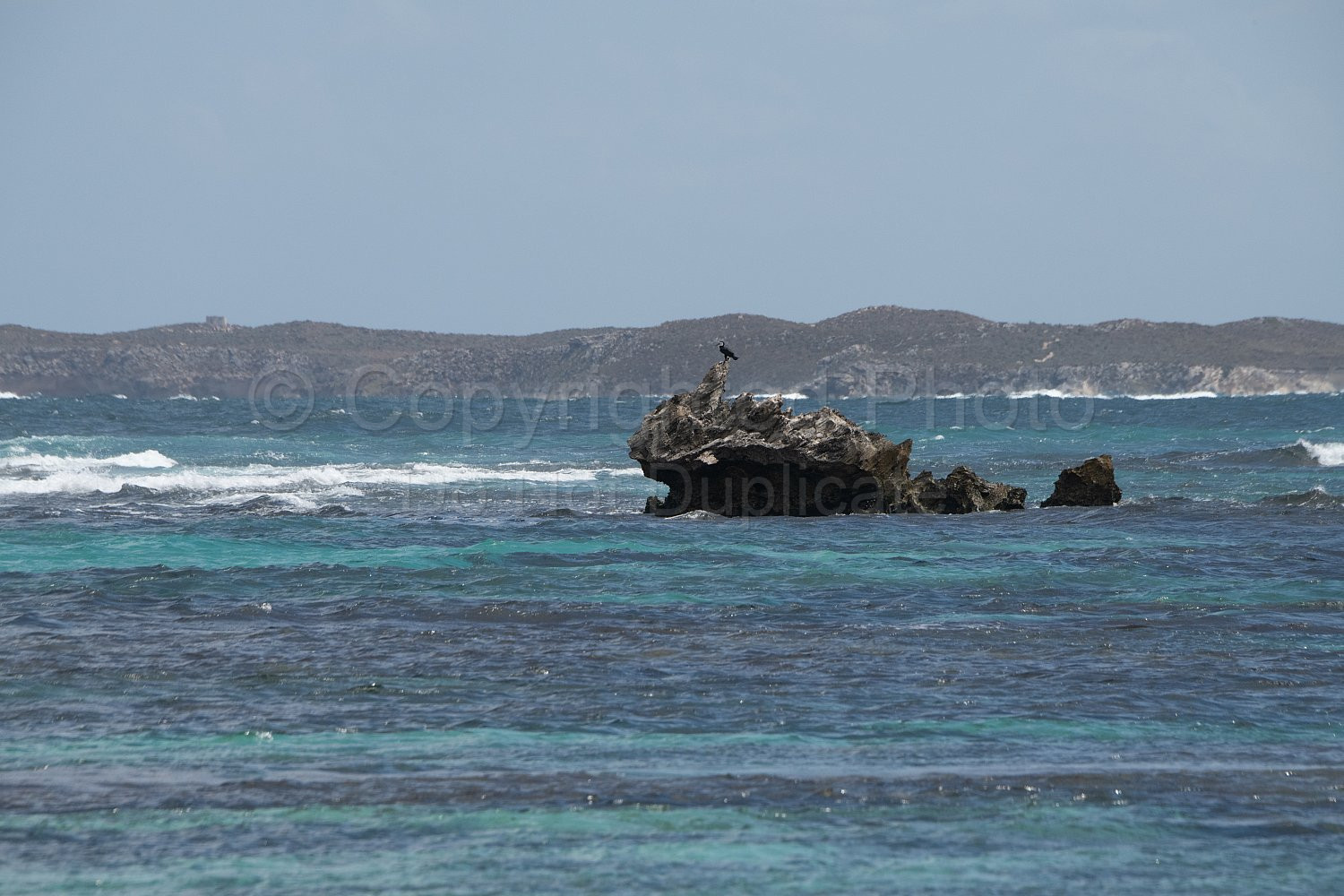 Rottnest Island