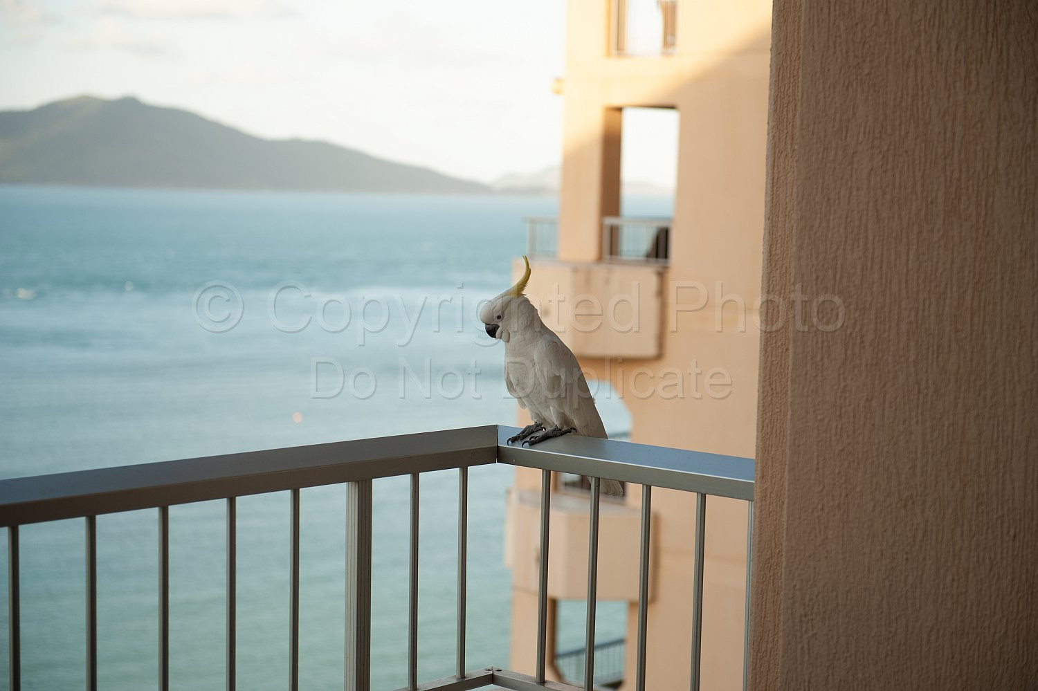 Hamilton Island