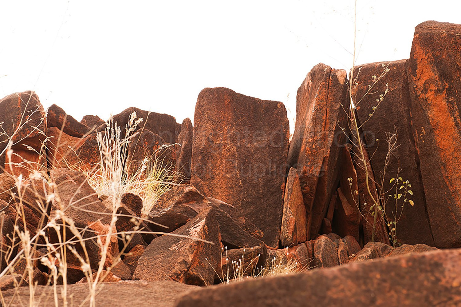 Tom Price Rock Art