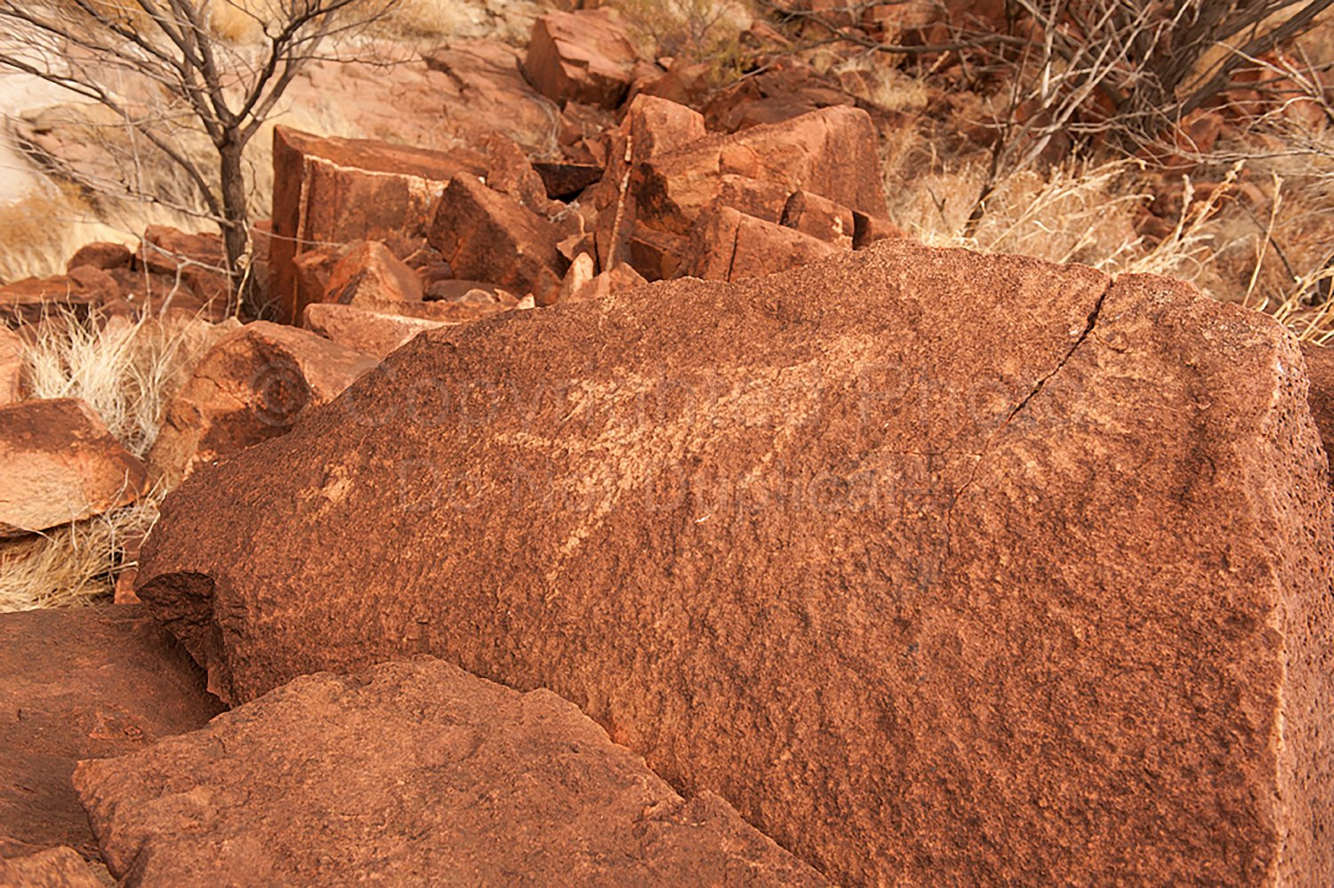 Tom Price Rock Art