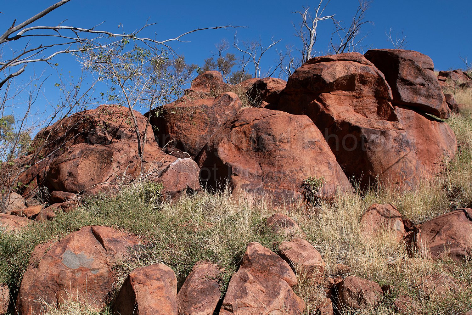 Punda Petroglyph Site