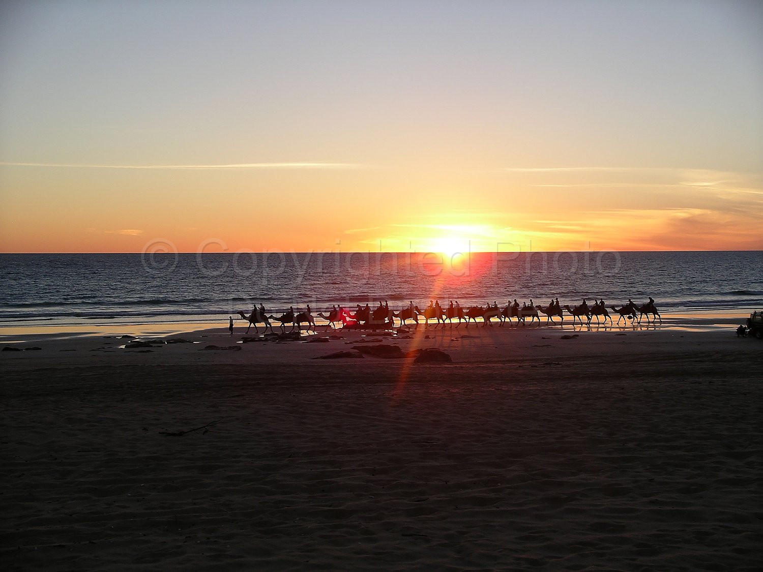Camels on Cable Beach