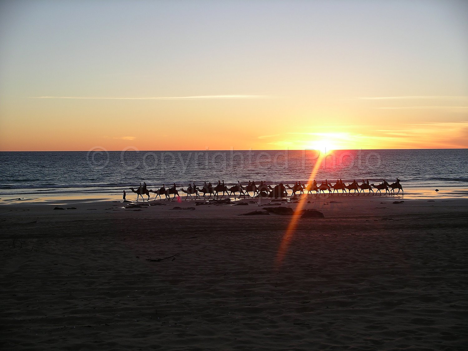 Camels on Cable Beach