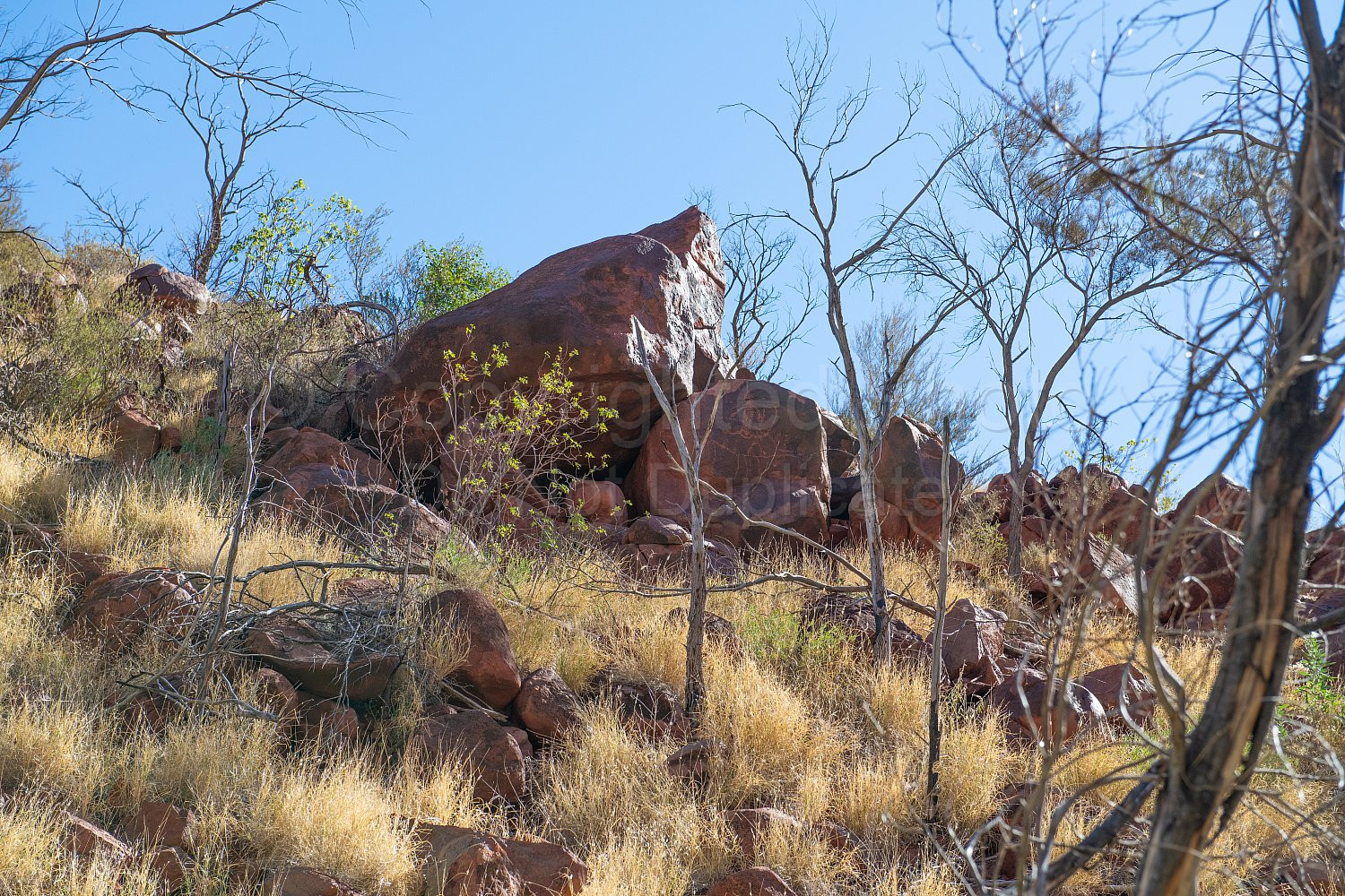 Punda Petroglyph Site