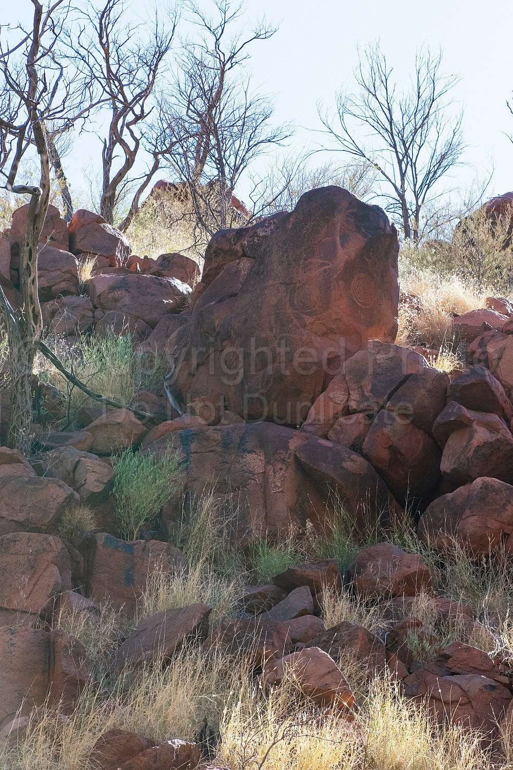 Punda Petroglyph Site