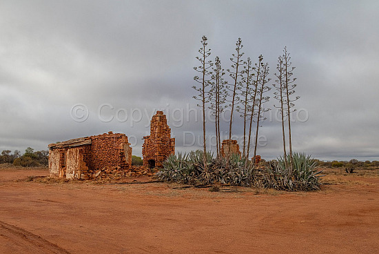 Homestead Ruins Mid-West Western Australia