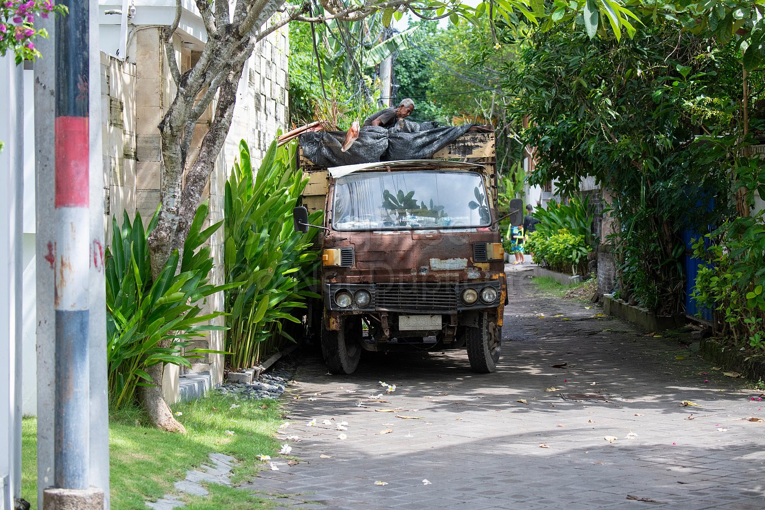 bali, indonesia, seminyak, vehicle
