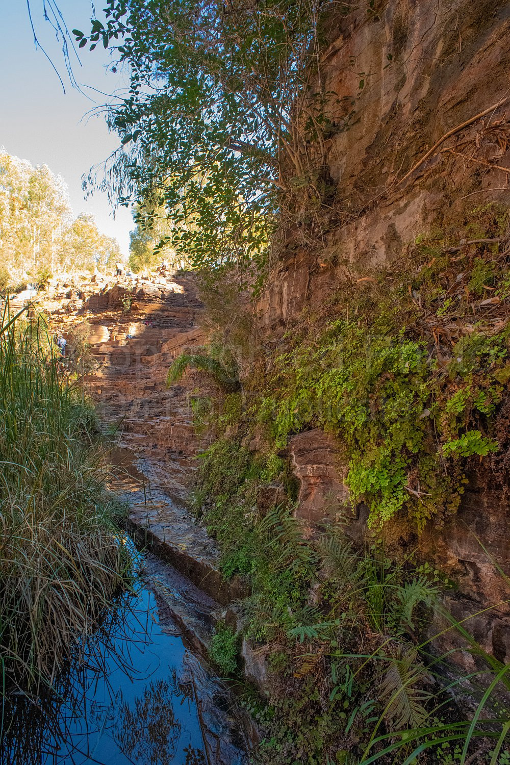 Dales Gorge Karijini