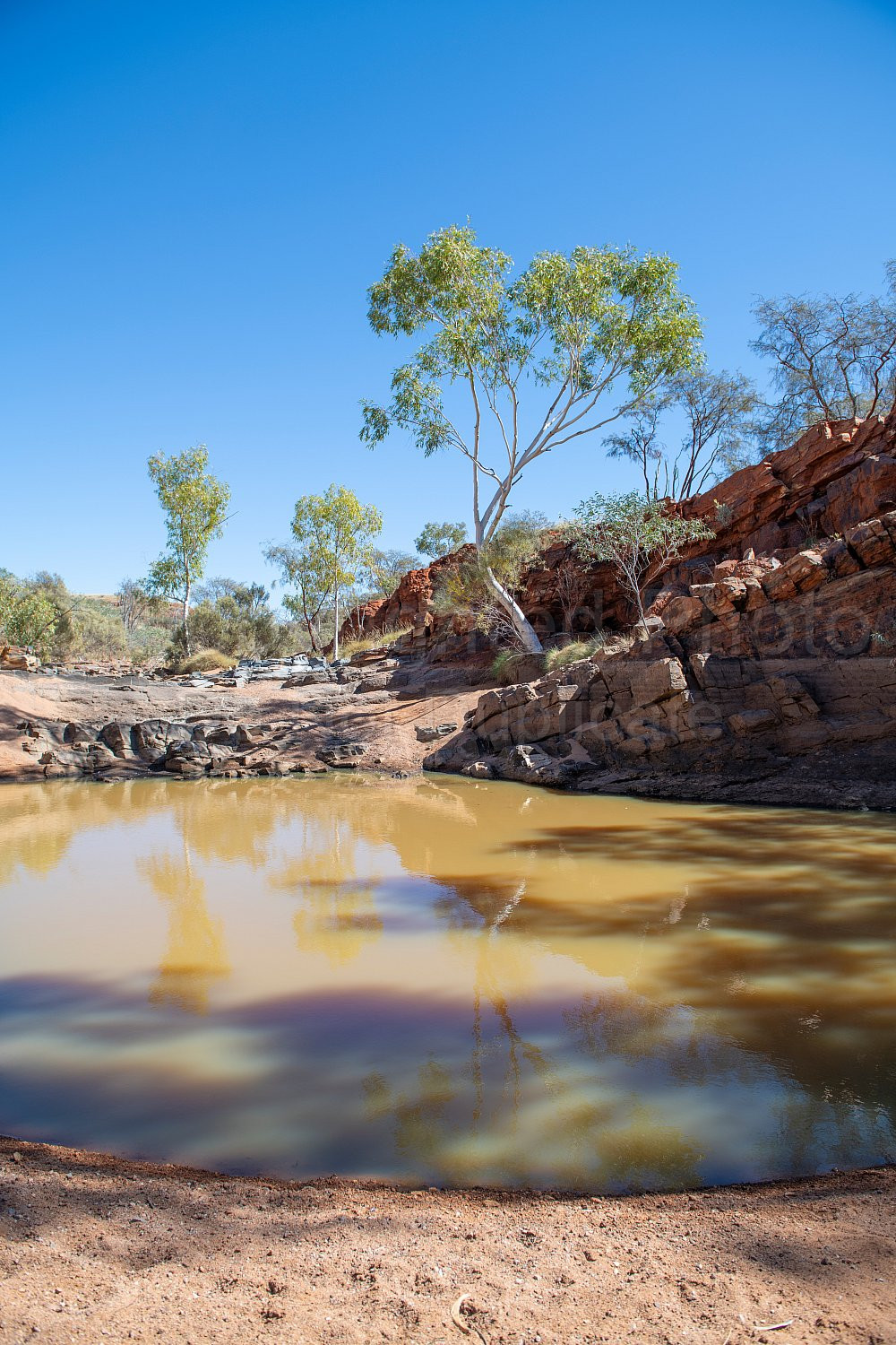 Beaton Pool Nullagine