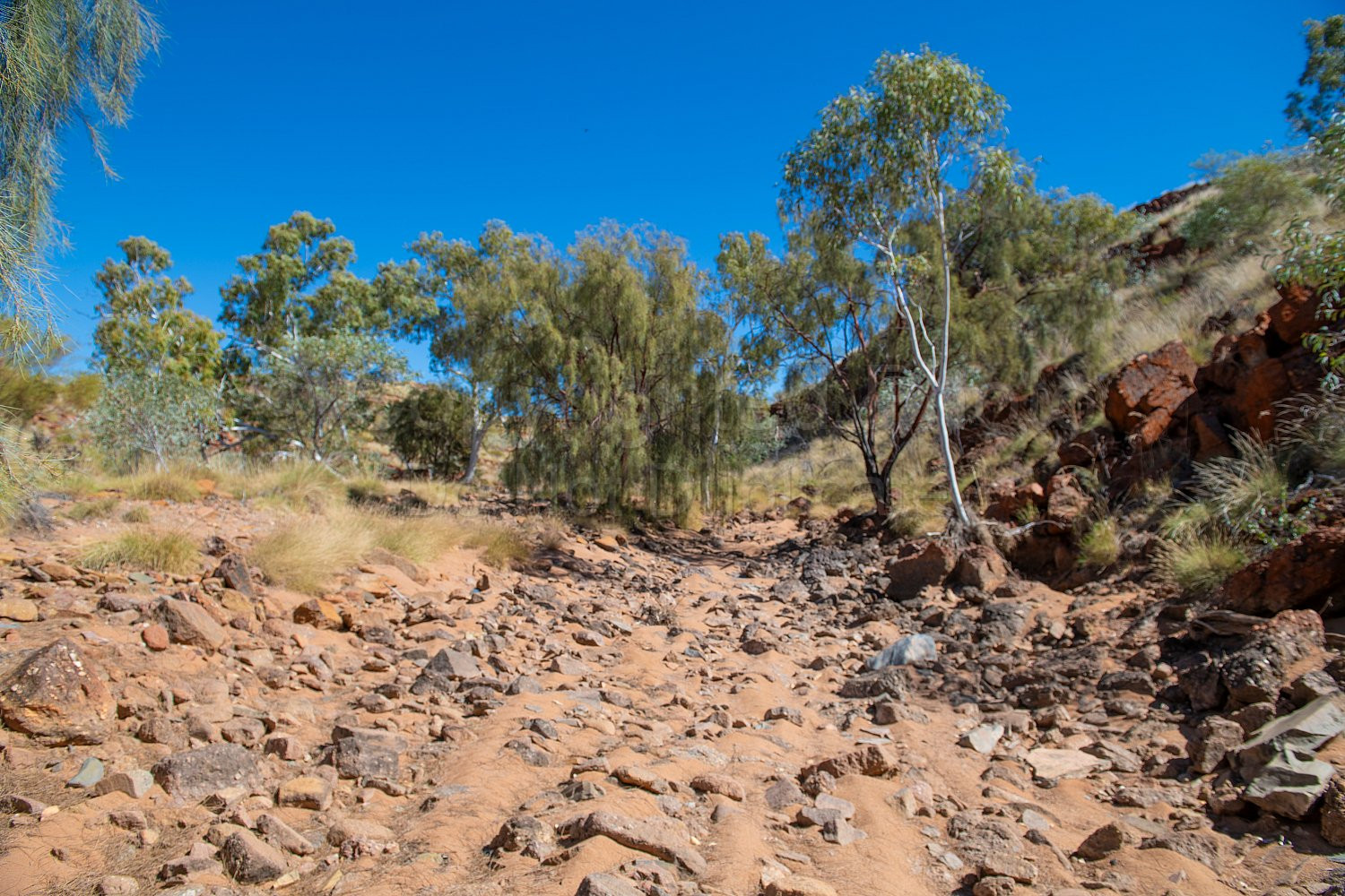 Beaton Pool Nullagine
