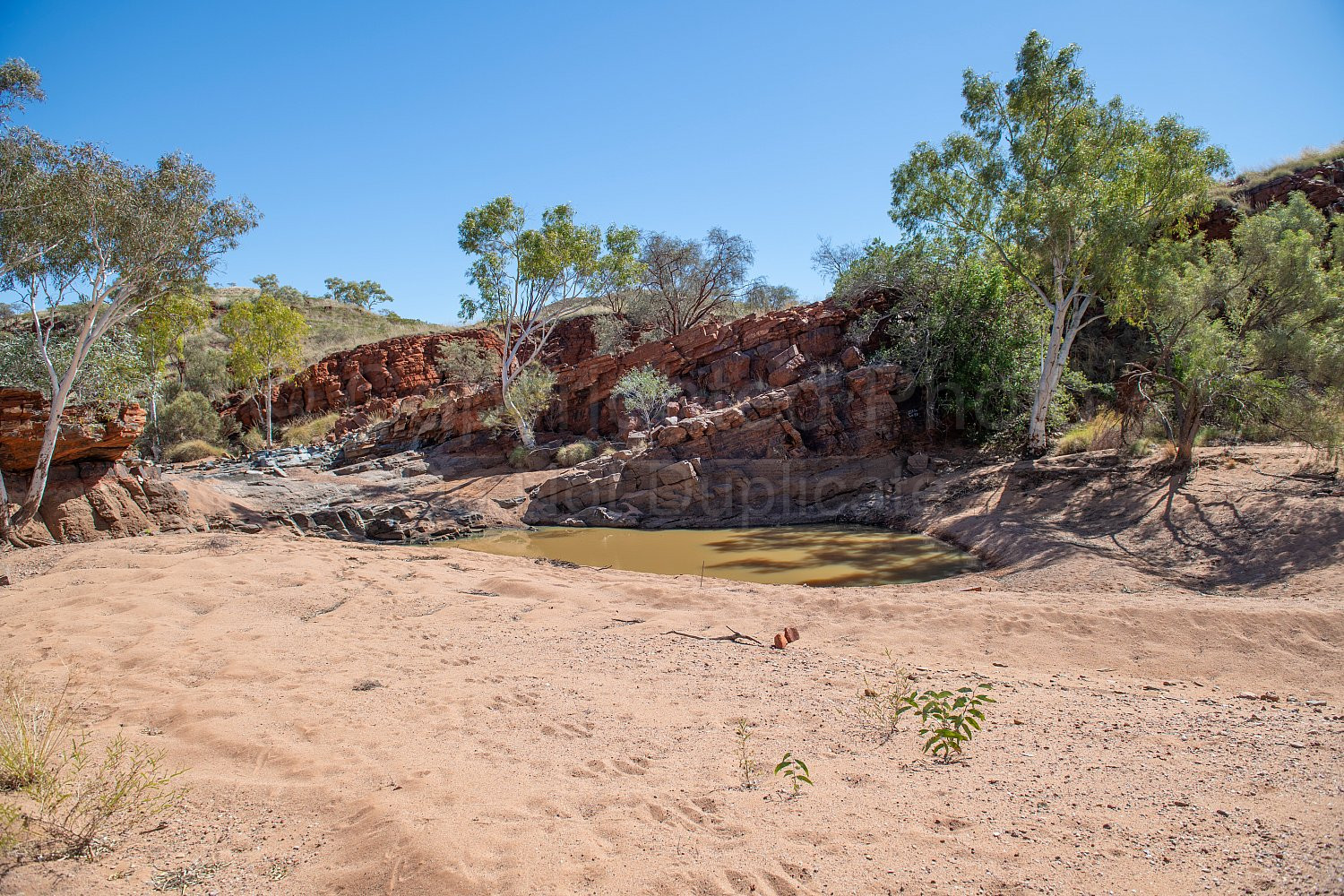 Beaton Pool Nullagine