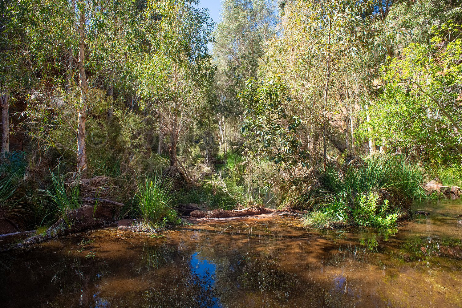 Dales Gorge Karijini