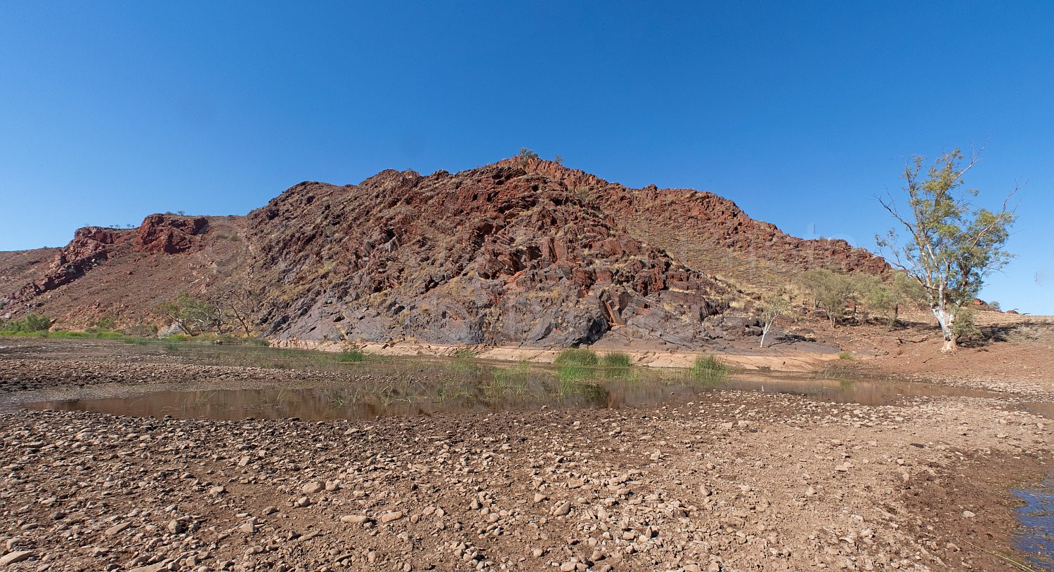 Cheela Plains Station