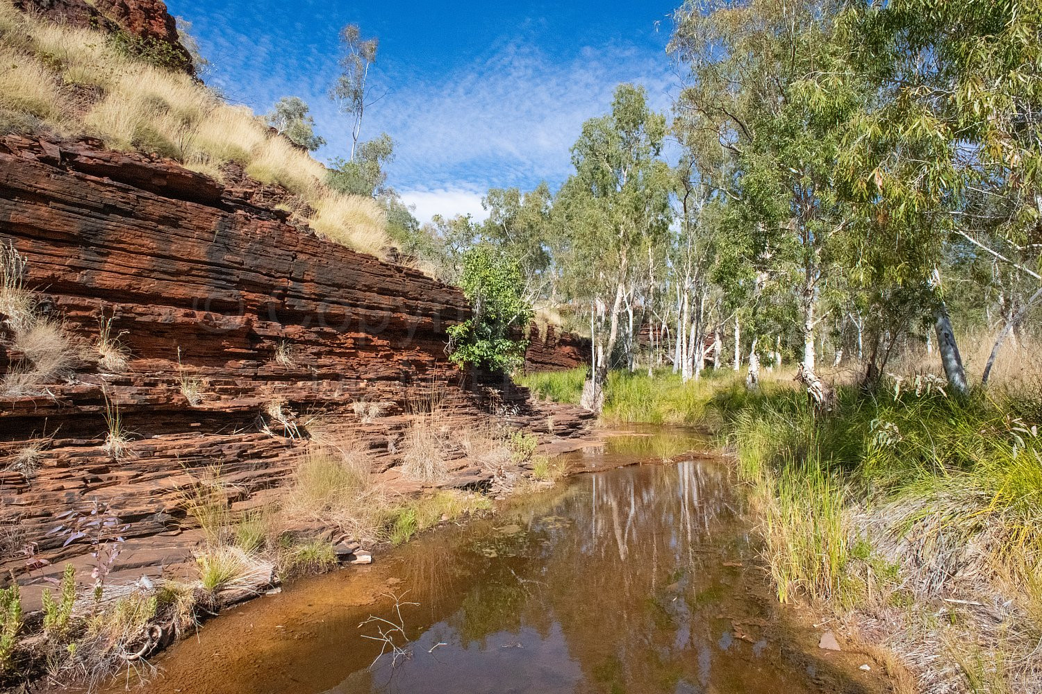 Kalamina Gorge Karijini