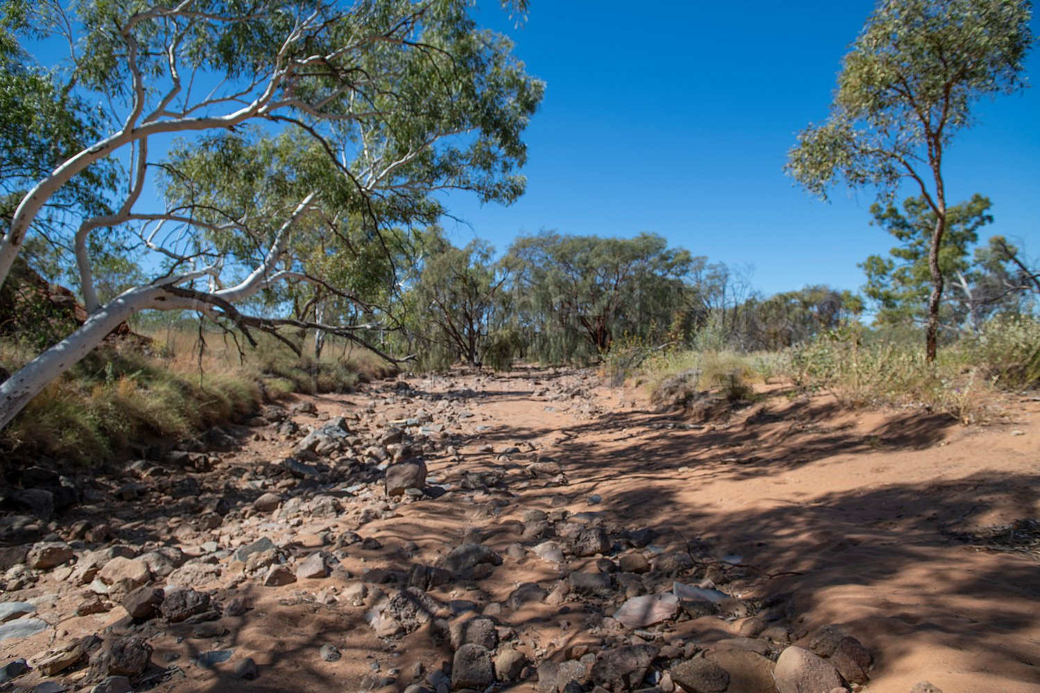 Beaton Pool Nullagine