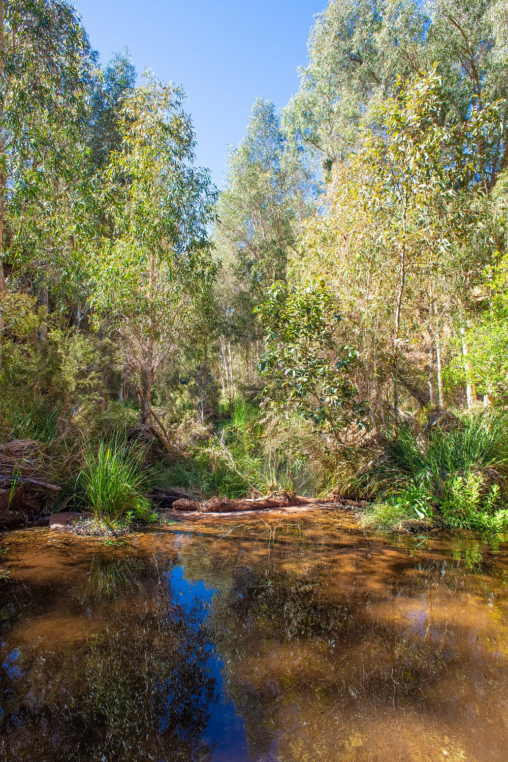 Dales Gorge Karijini