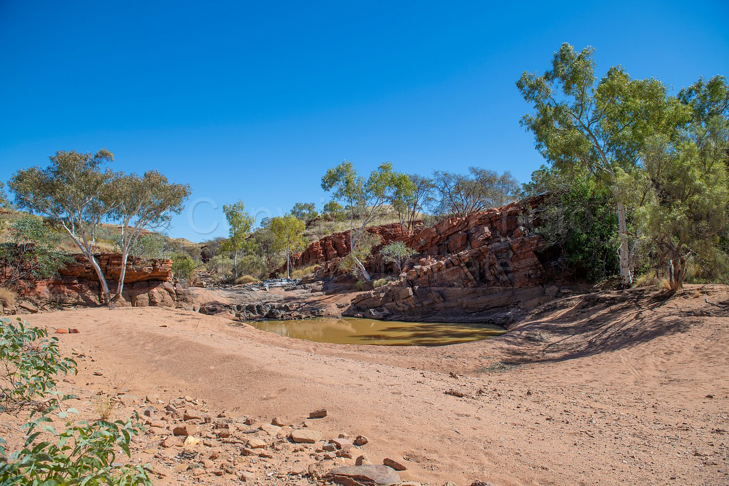 Beaton Pool Nullagine