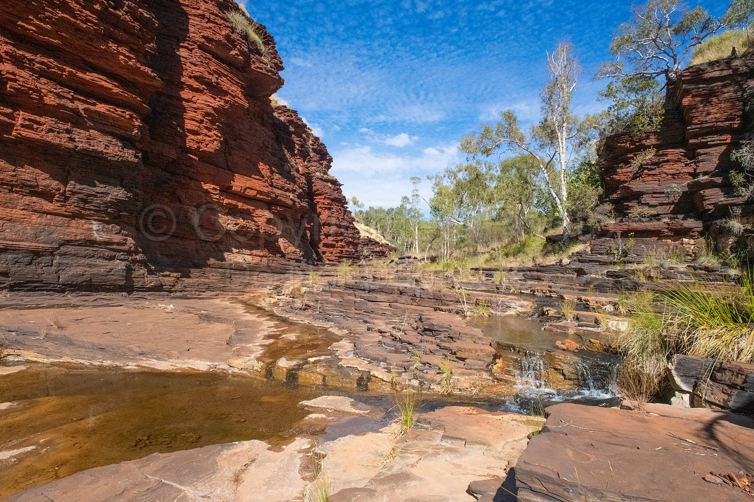 Kalamina Gorge Karijini