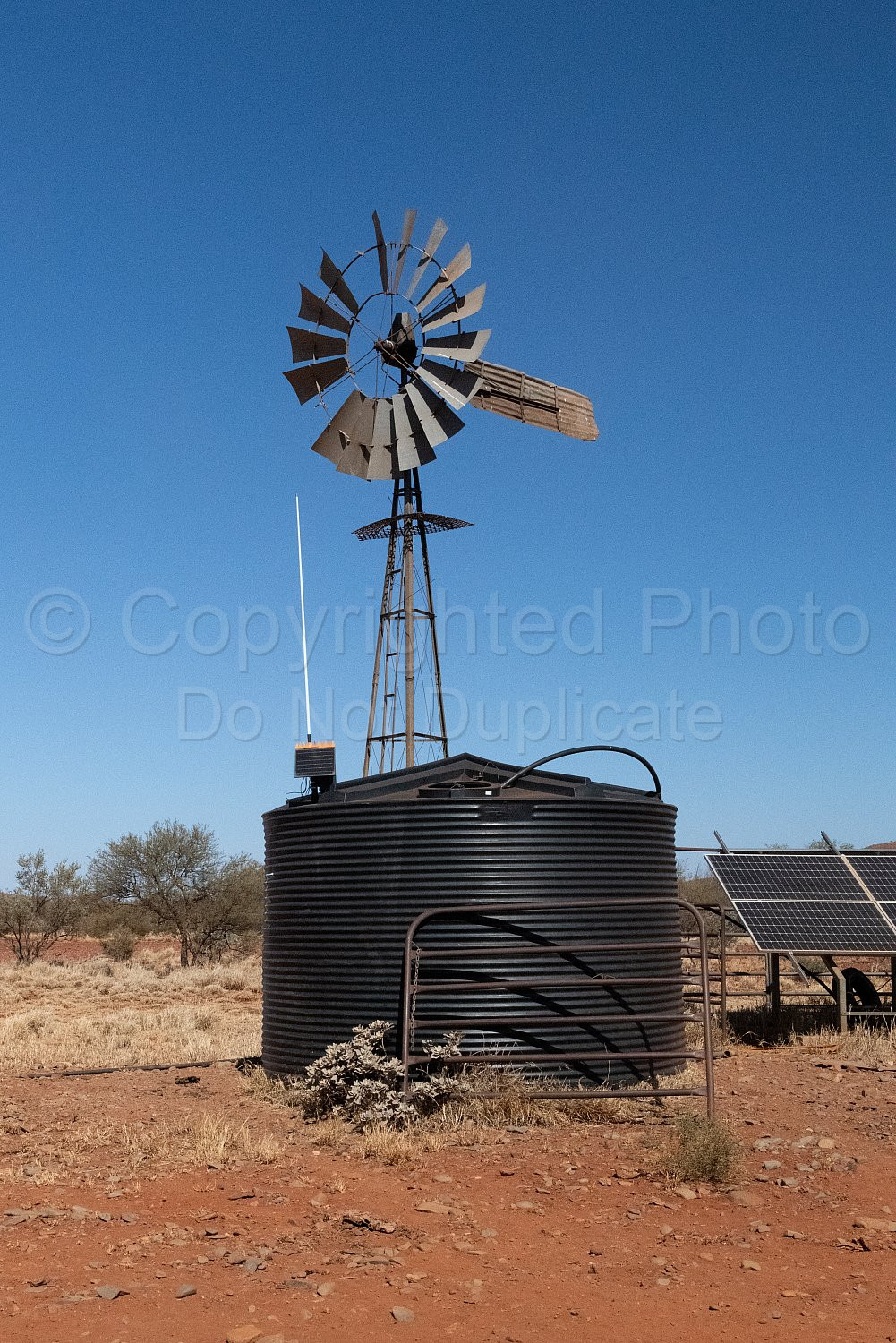 Cheela Plains Station