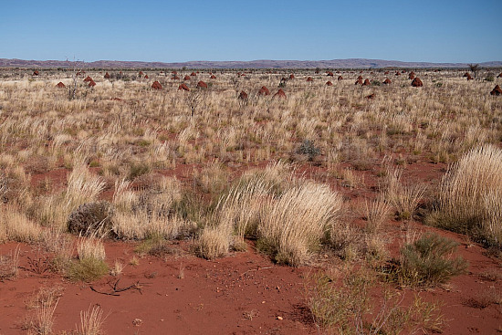 Kalgan Landscape Pilbara