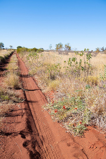 Kalgan Landscape Pilbara