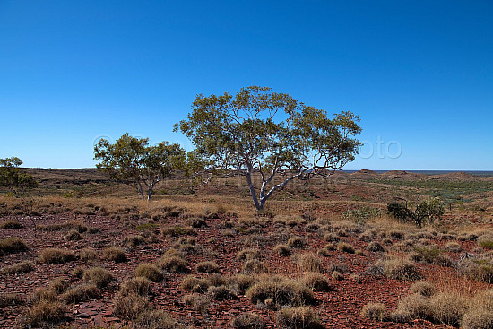 Kalgan Landscape Pilbara