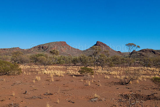 Cheela Plains Station