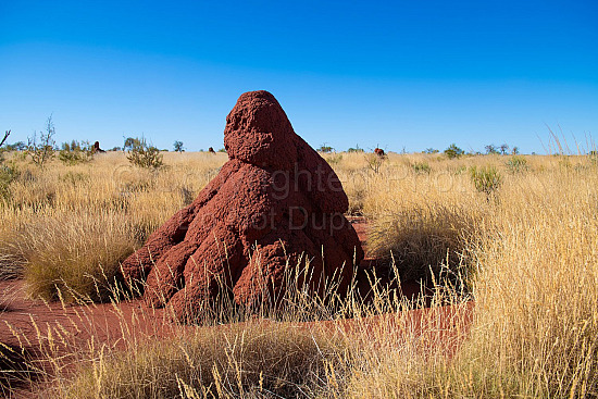Kalgan Landscape Pilbara