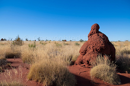Kalgan Landscape Pilbara
