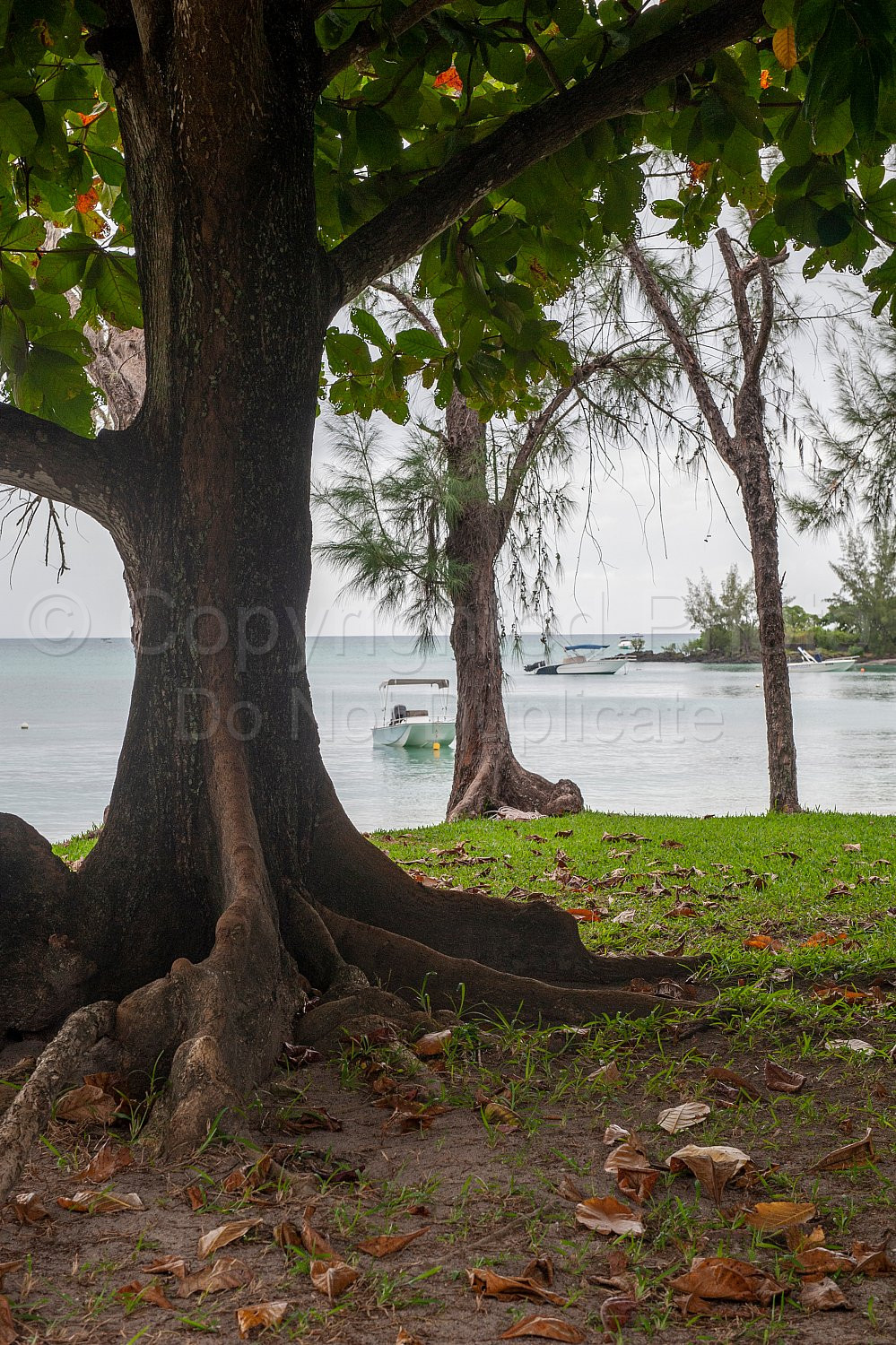 Mauritius