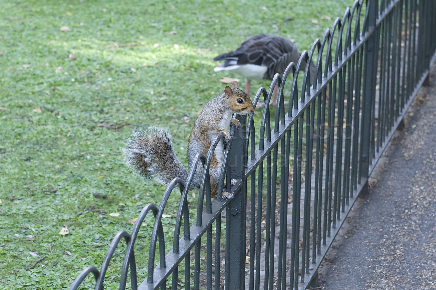 London Scene