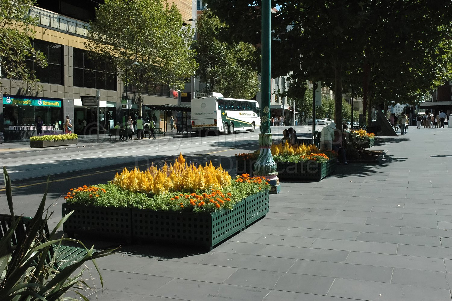 Melbourne Images