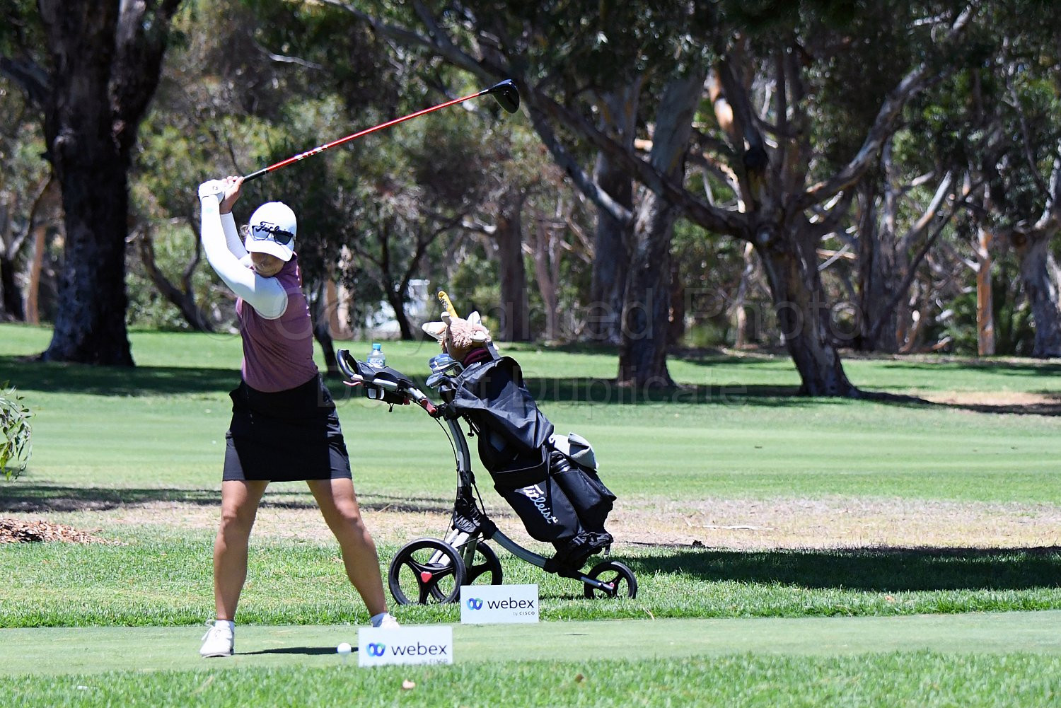 RFGC Webex Series Golf