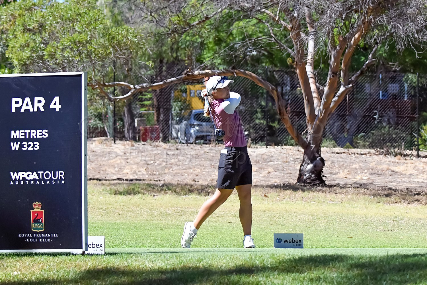 RFGC Webex Series Golf