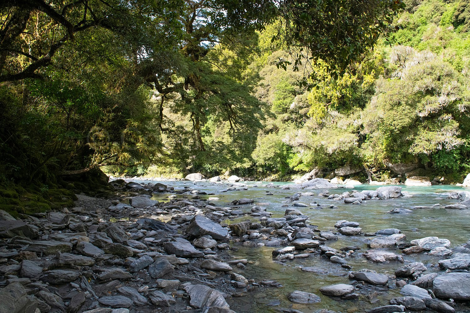 New Zealand South Island