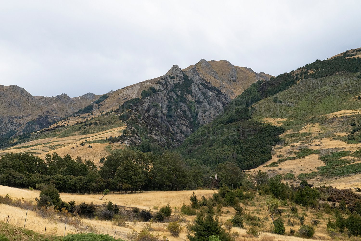 New Zealand South Island