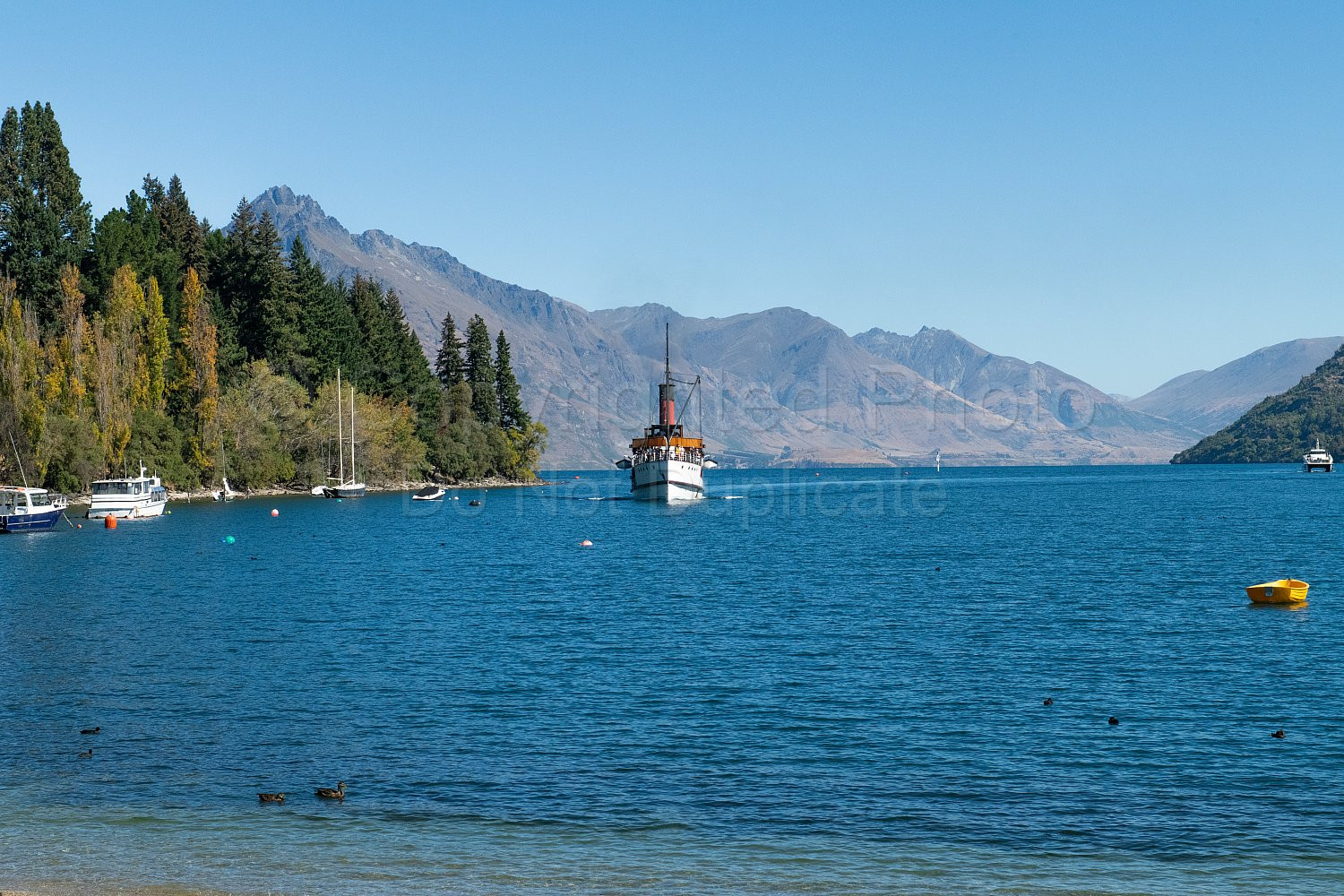 New Zealand South Island