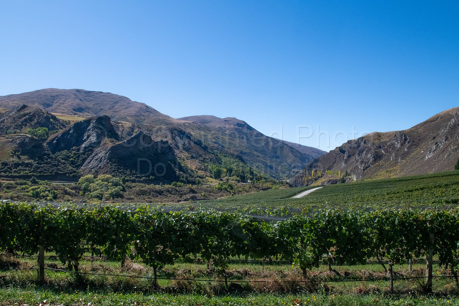 New Zealand South Island