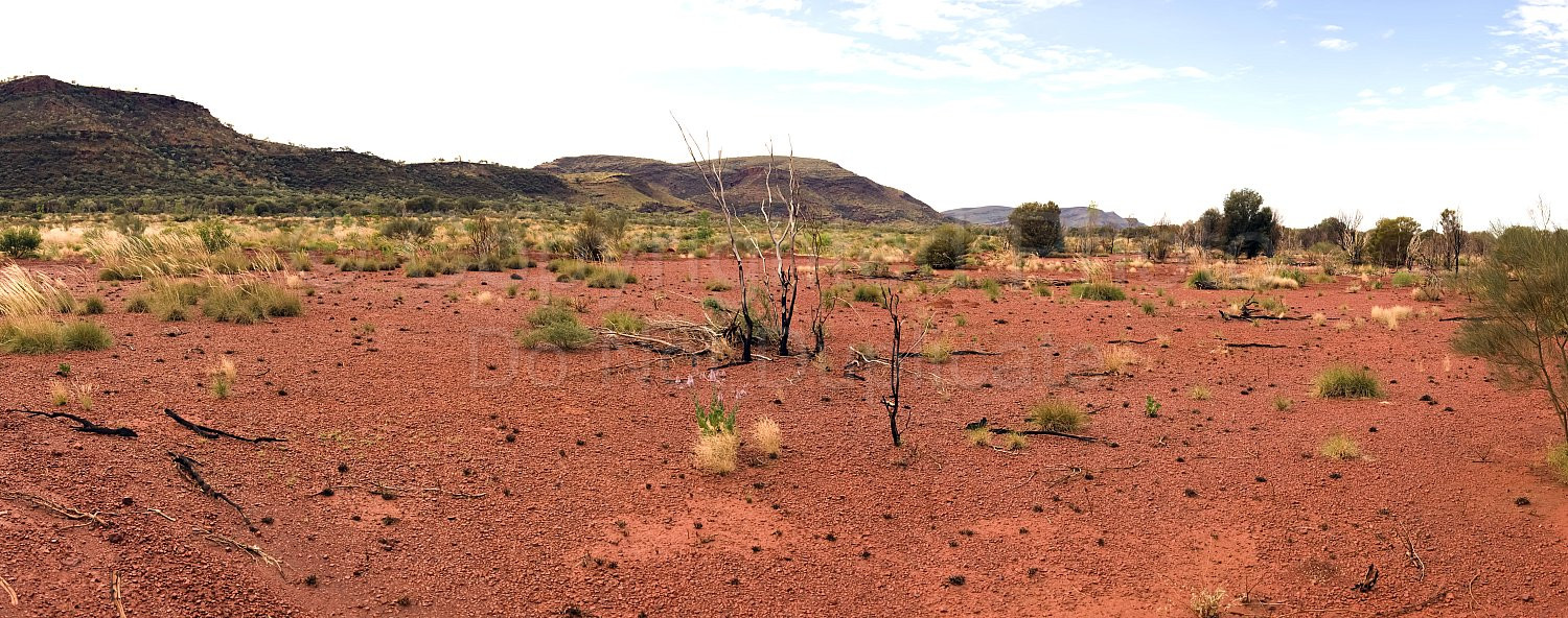 Pilbara Landscape