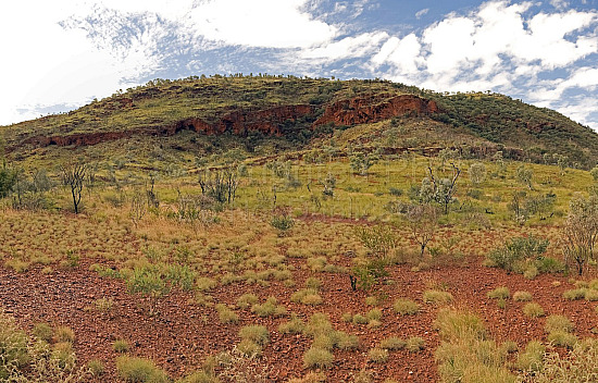 Pilbara Landscape