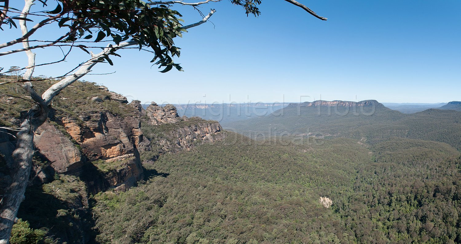 Blue Mountains New South Wales